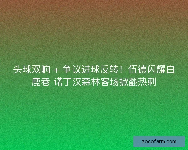 头球双响 + 争议进球反转！伍德闪耀白鹿巷 诺丁汉森林客场掀翻热刺