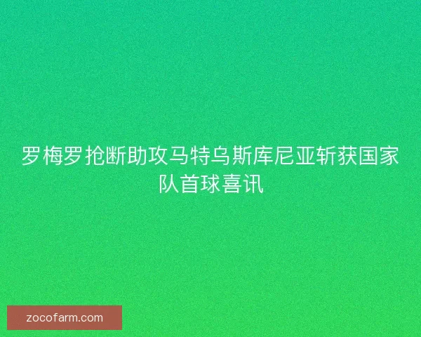 罗梅罗抢断助攻马特乌斯库尼亚斩获国家队首球喜讯