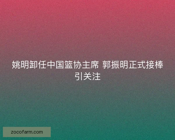 姚明卸任中国篮协主席 郭振明正式接棒引关注